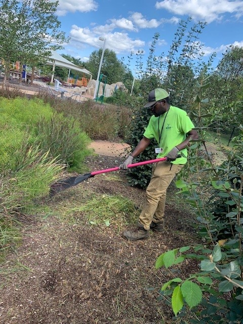 SOAR365 business solutions employee works at PARK365