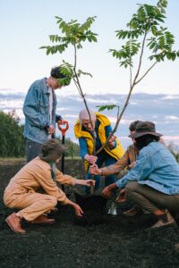 A group of volunteers plant a tree together in front of a mountain overlook