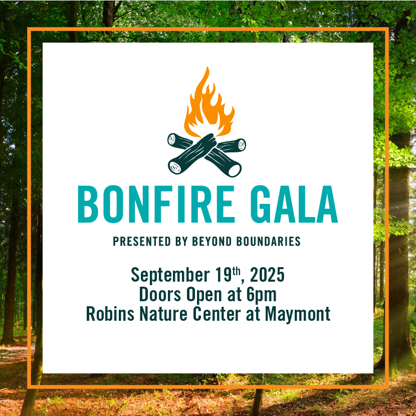 bonfire gala logo with event details