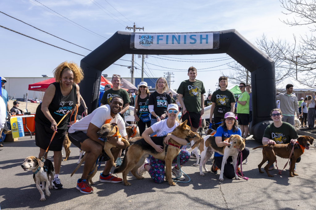 Running Buddies and other participates gather around the finish line with their dogs.